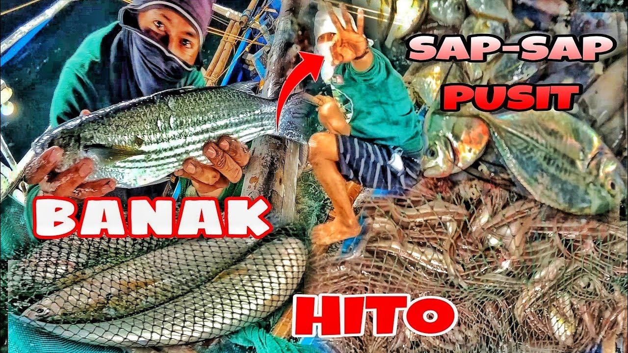 SARI SARING ISDA | PUSIT ANG AMING NAHULI | seafoods vlog | masbate