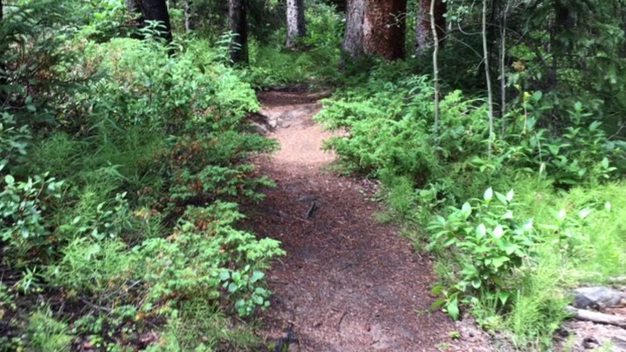 Buffalo Peak Wilderness Loop