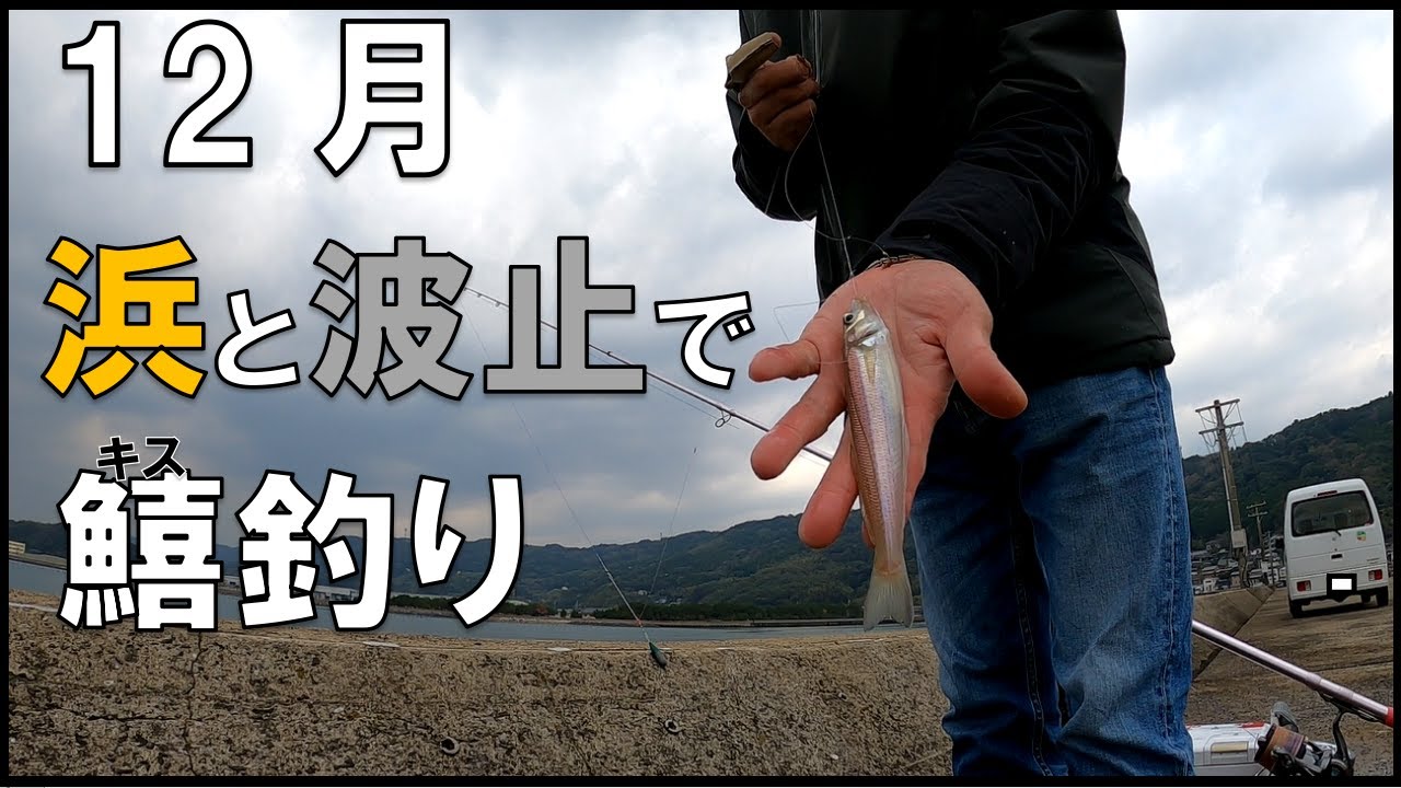 【キス釣り】12月。浜と波止でキス釣り楽しんで来ました♪