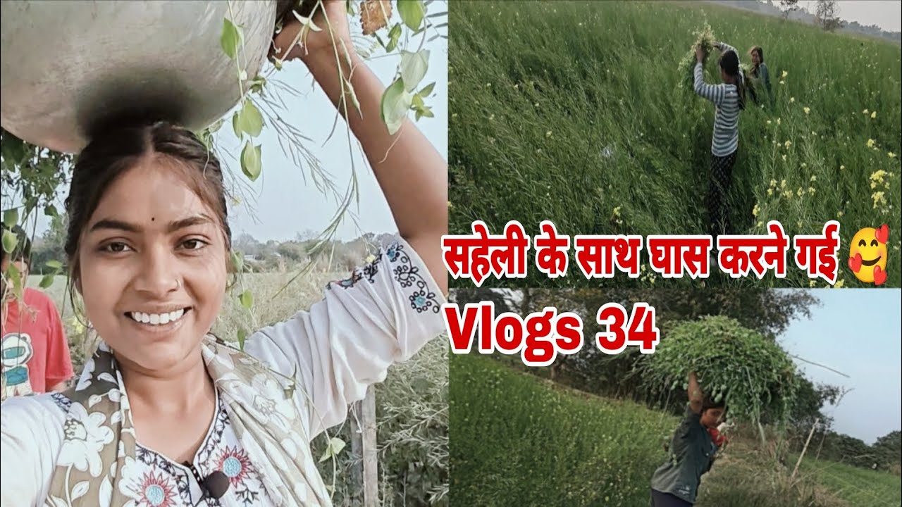 सहेली के साथ घास करने गई 🥰||Raani Kumari Banarasi Vlogs 34