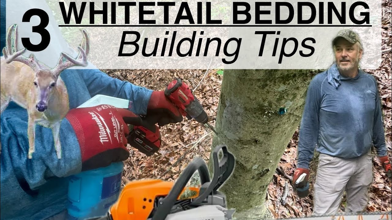 Building Whitetail Bedding Areas