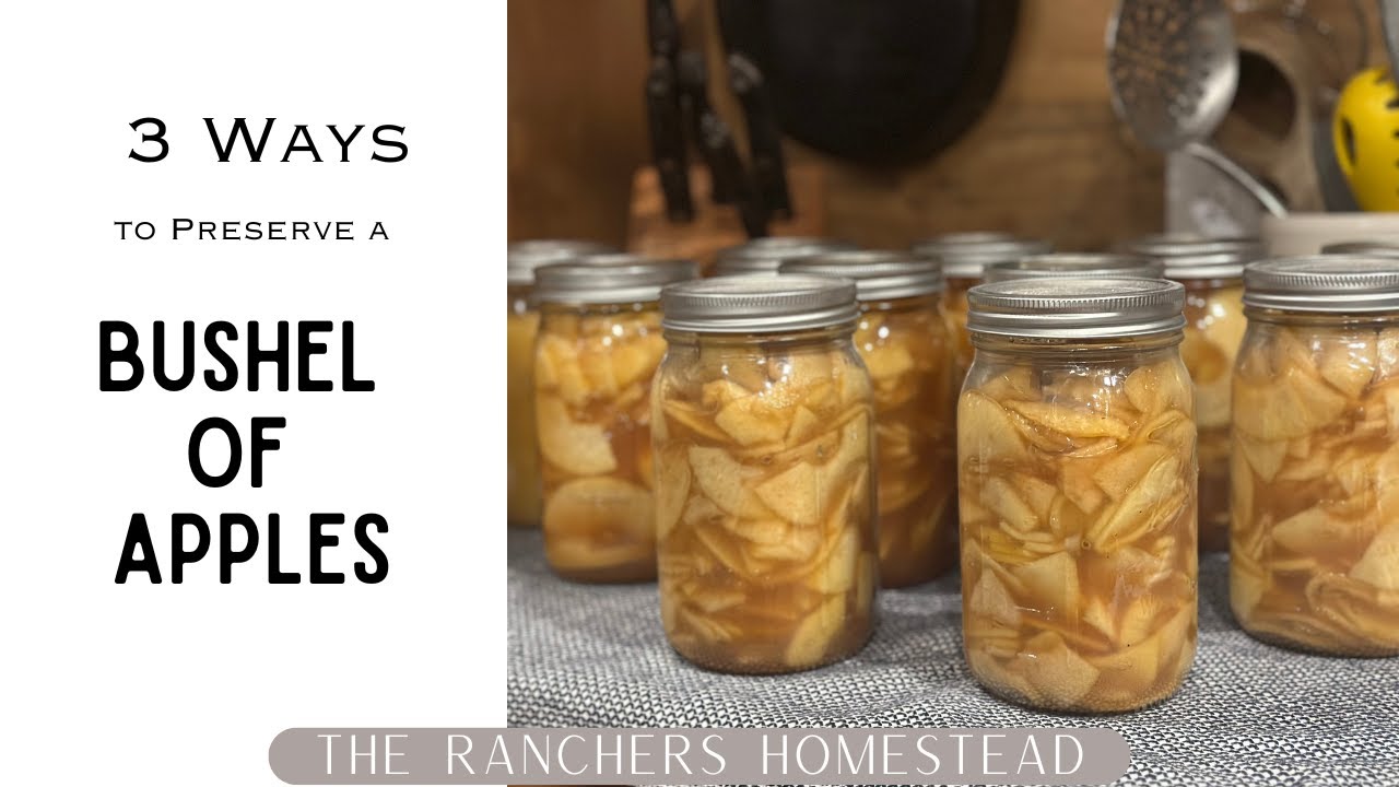 3 Ways to Preserve a Bushel of Apples!