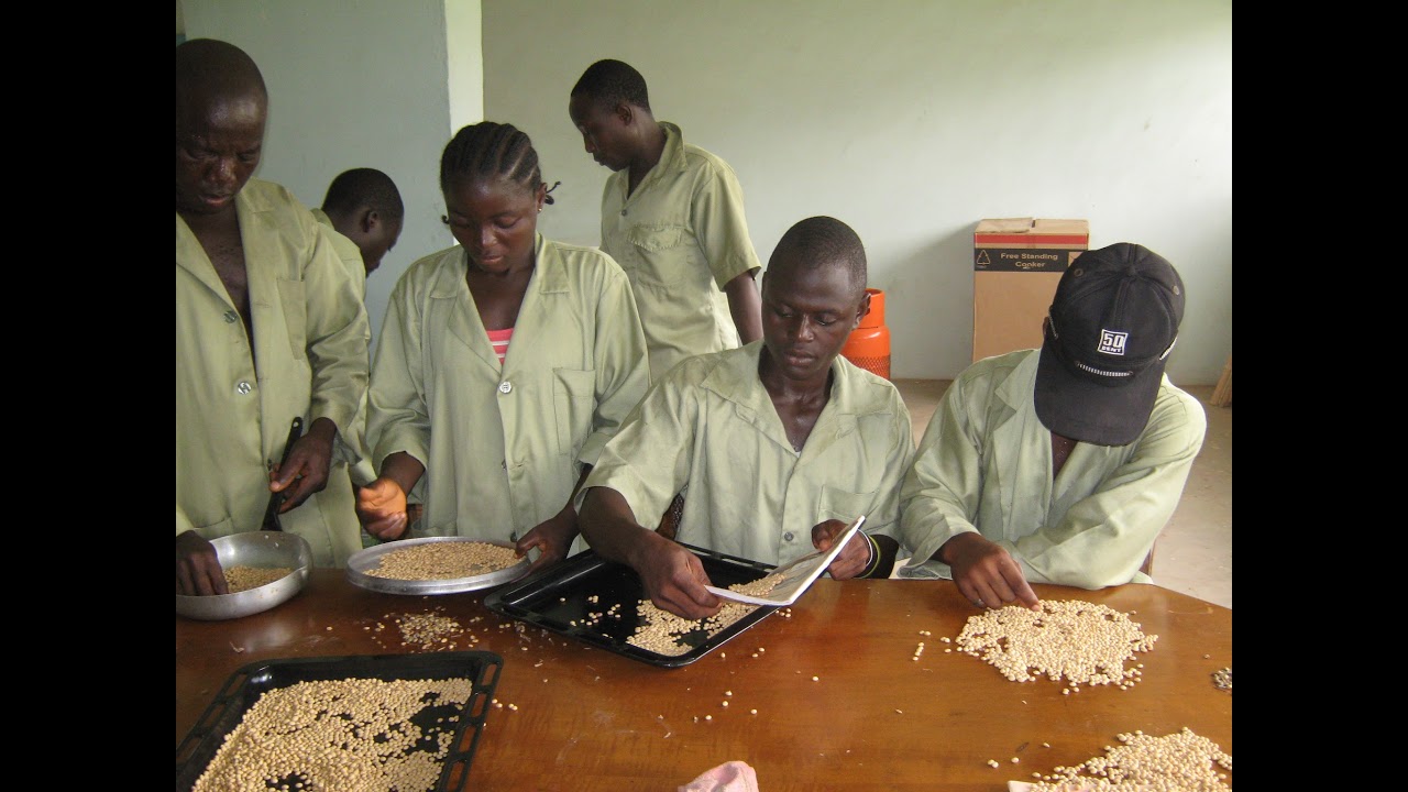 Leventis Foundation Nigeria Live Stream