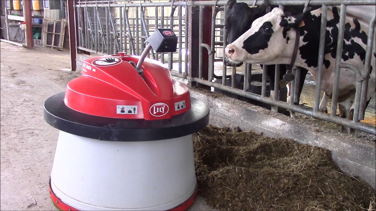 Reportage LELY JUNO 100