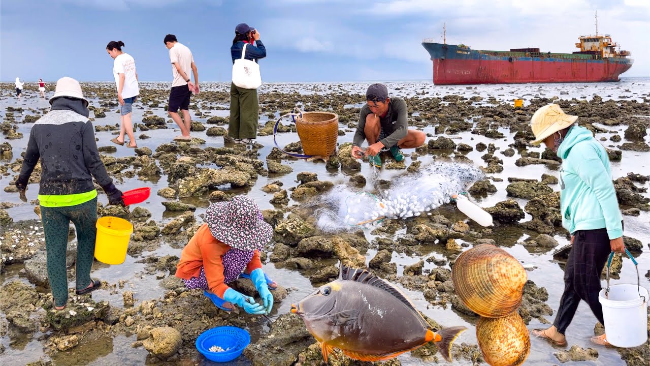 Con Tàu Vỏ Sắt Bị Mắc Cạn | Chợ Lớn Phan Rang Vắng Khách Mà Vui