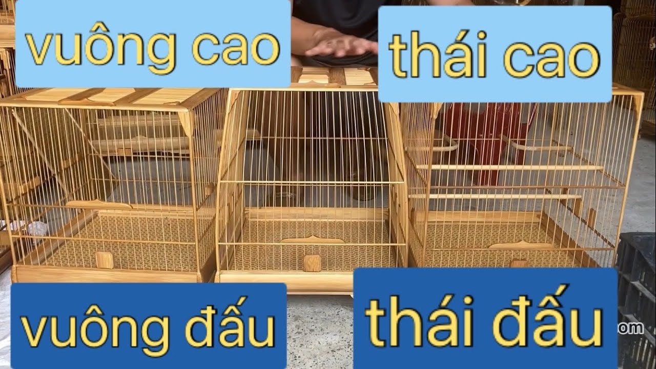 CÁCH CHỌN LỒNG CHO CHÀO MÀO - CHÀO MÀO NÊN NUÔI LỒNG GÌ LÀ HỢP LÝ - LỒNG CHIM VŨ MINH