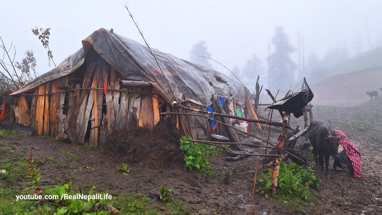 Best Life in A Nepali Mountain Village During the Rainy season | How People Live in Nepal With Rain