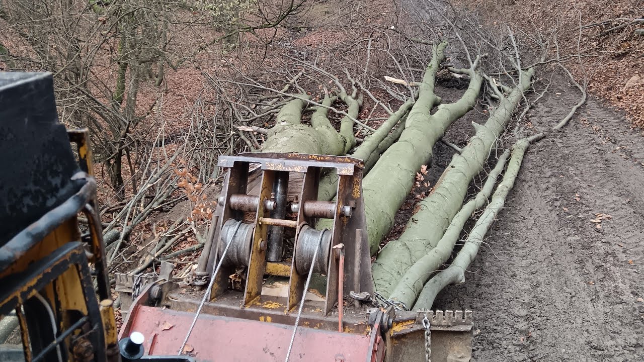 S Jožkom sami v práci. Pásový harvestor Neuson 11002HV a dorezanie linky. LKT MAN a stihl ms 500i.