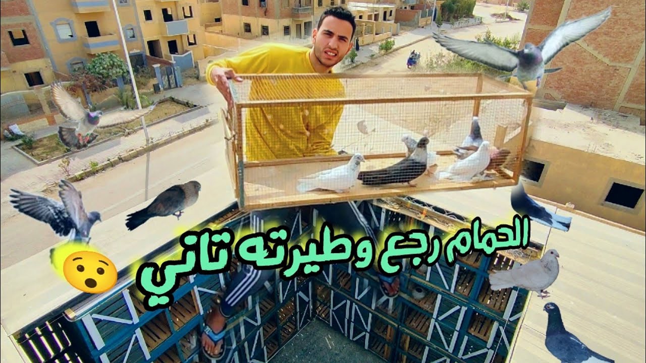 حمام من الضاع رجع 😃وطيرته تاني وقلبت السلاكة (طلع عيني 😭)