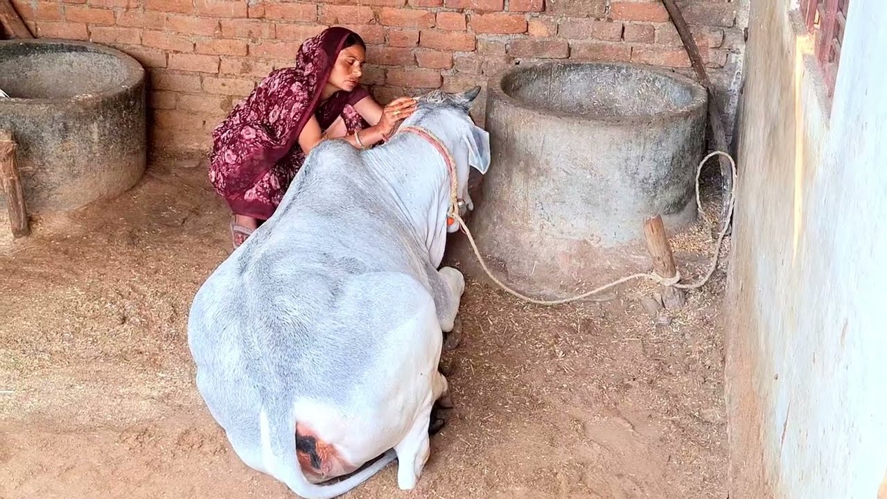 हर बात को अच्छे से फॉलो कर रही है मेरी क्यूट गंगा,
