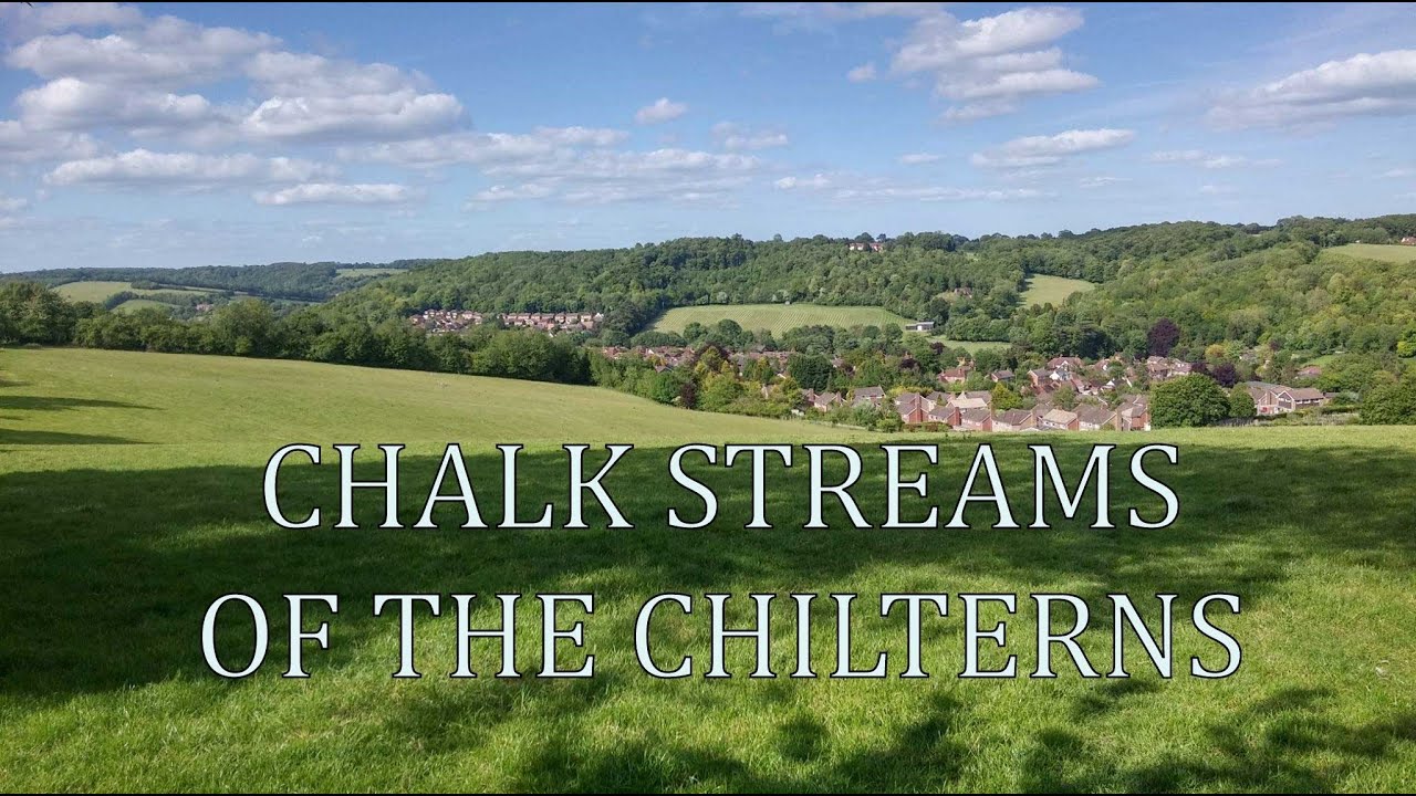 Chalk Streams of the Chilterns