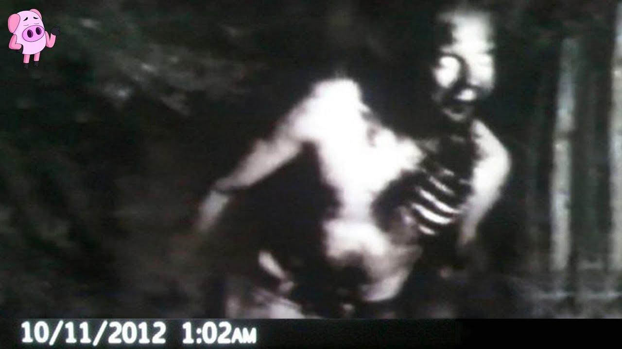 11 Trail Camera Photos That Cannot Be Explained
