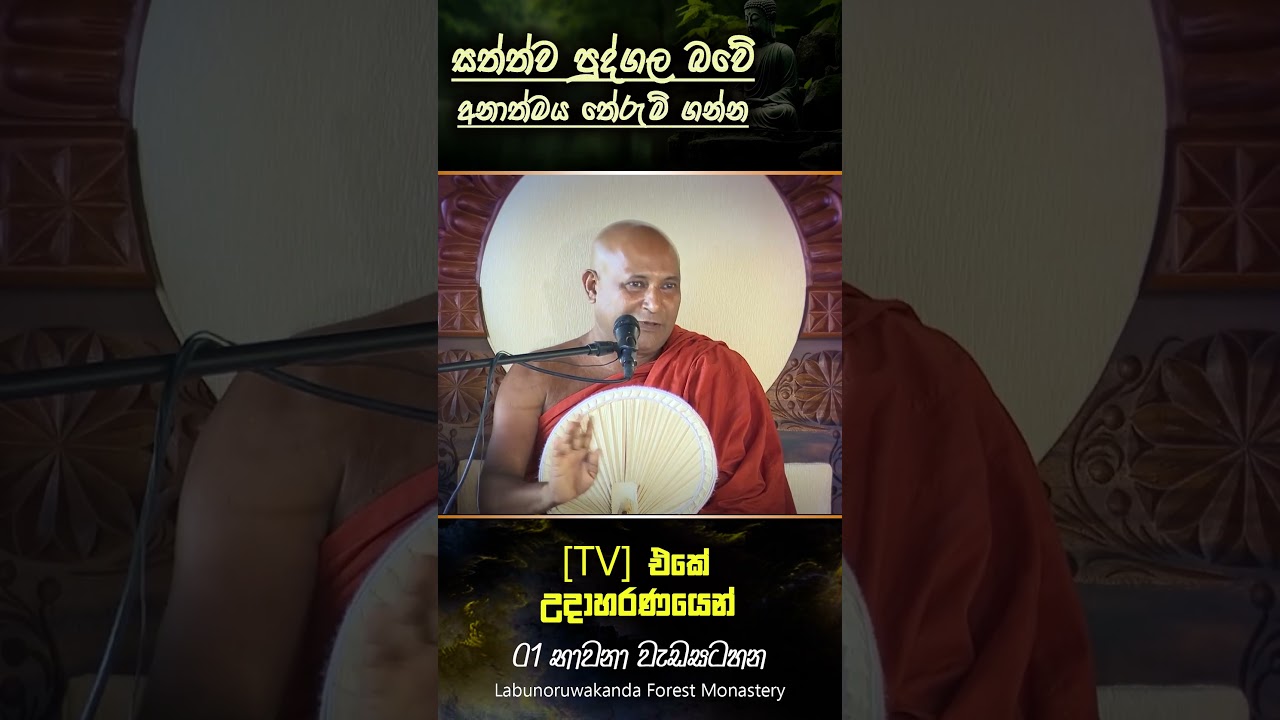 සත්ත්ව පුද්ගල බවේ අනාත්මය තේරුම් ගන්න TV එකේ උදාහරණයෙන් | Ven mankadawala sudassana thero