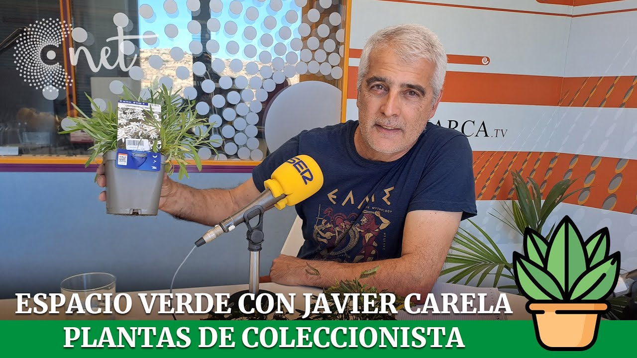 PLANTAS de coleccionista | ESPACIO VERDE con Javier Carela 11/04/2024