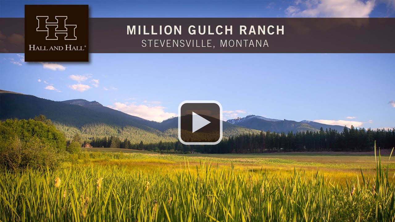Million Gulch Ranch - Stevensville, Montana