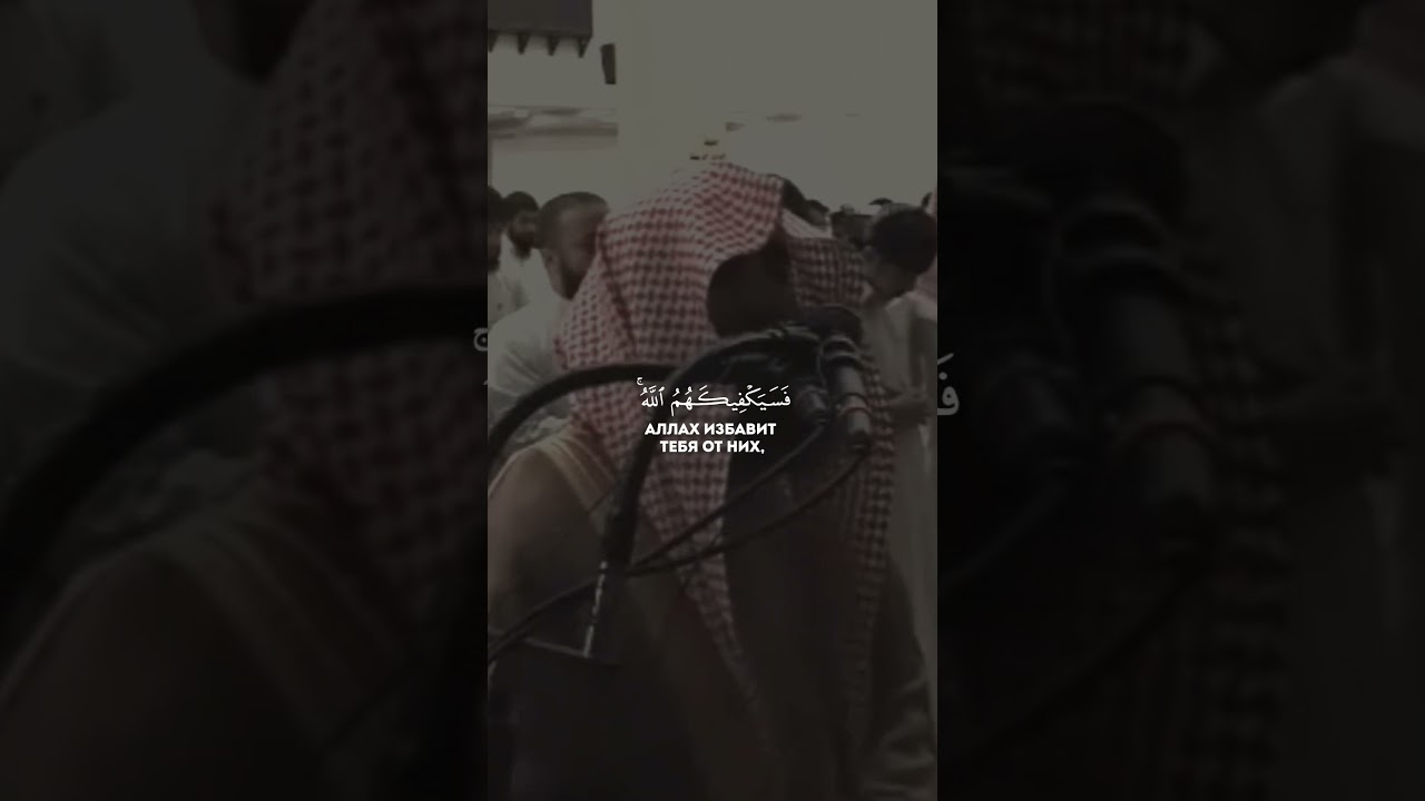 Мухаммад Аль Люхайдан Сура Аль-Бакара Аяты 137-138 | #quran #luhaidan #quranvideo #masjid