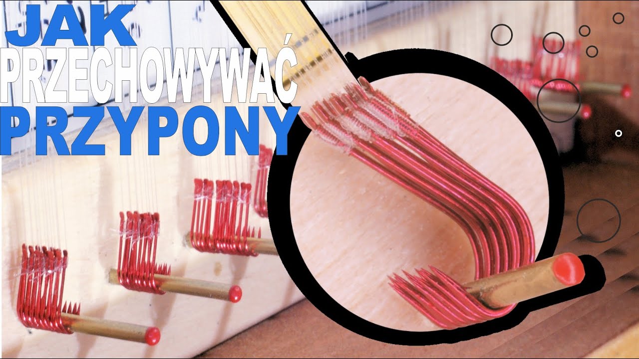 Jak przechowywać przypony
