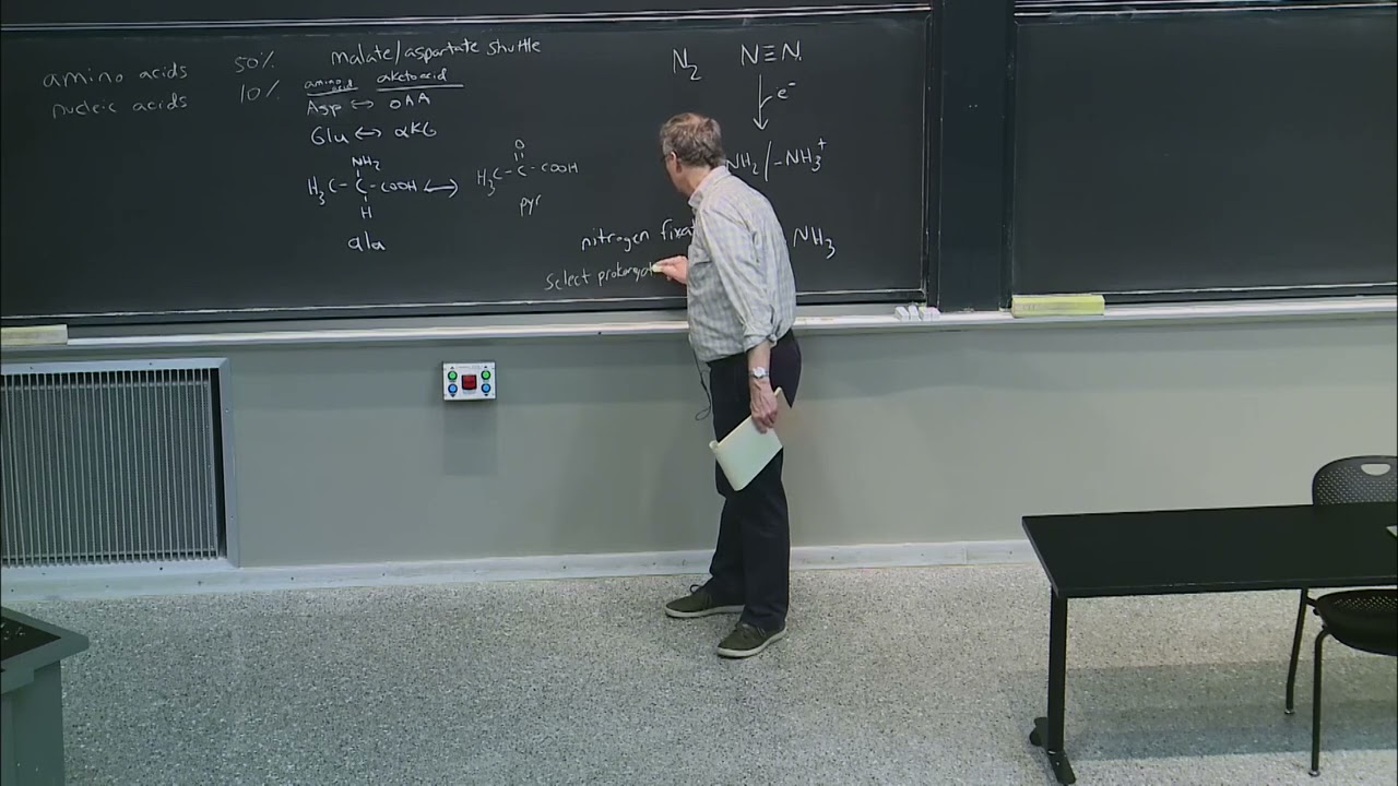 30. Nitrogen/Amino Acid Metabolism I