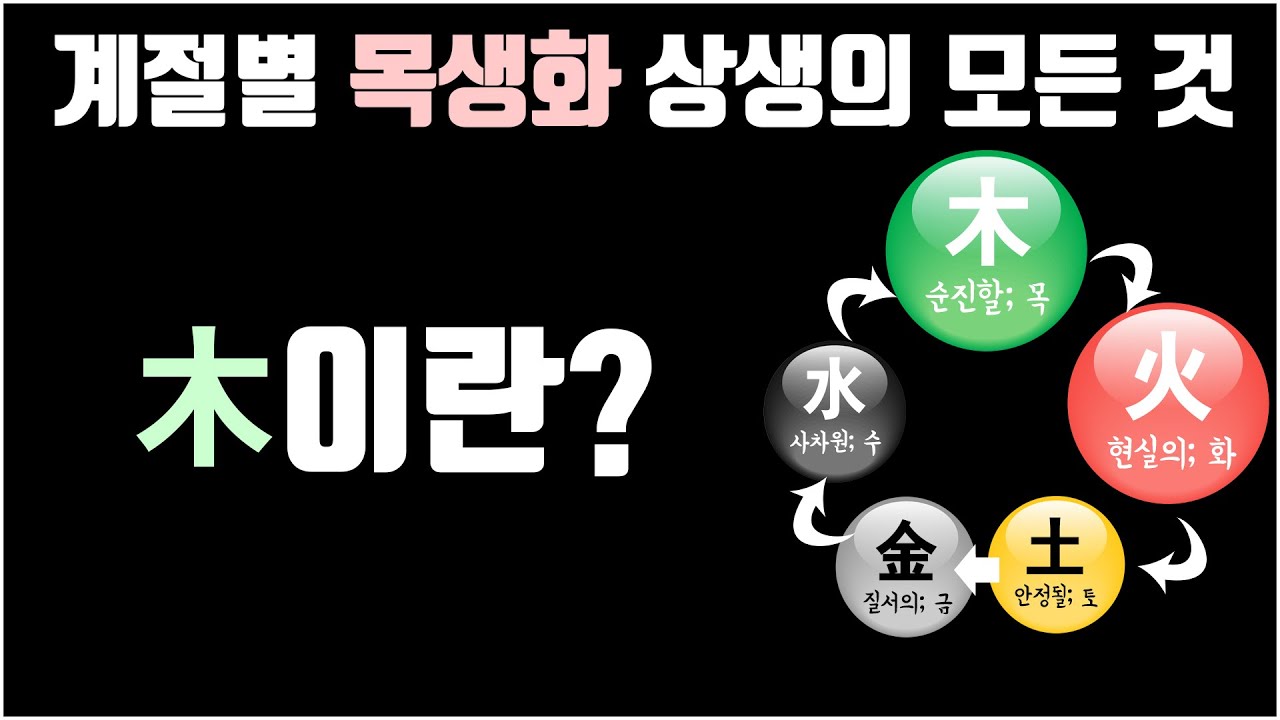 목의 계절별 상생의 모든 것, 목생화 [책읽어주는 뉴피디]