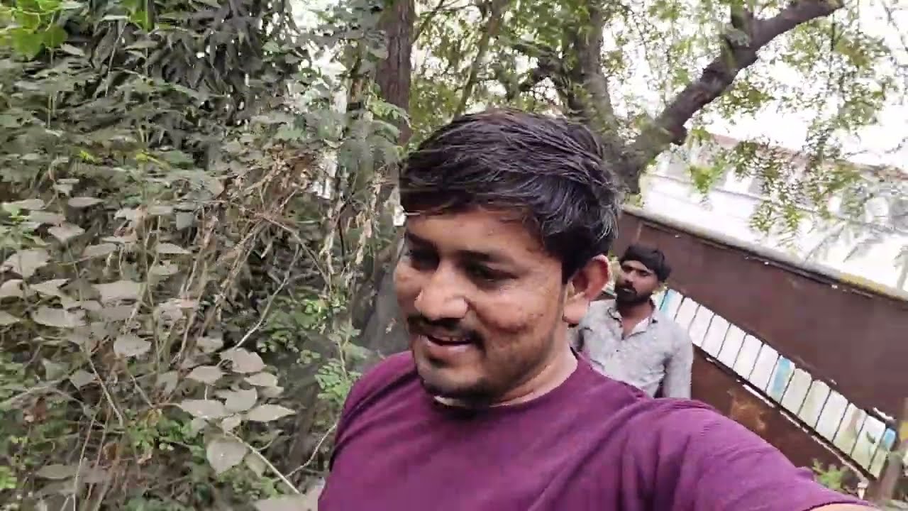 #minivlog#jangalmahalvillegeblogs#jangalmahaljhumur#viralvideo🏞️📽️