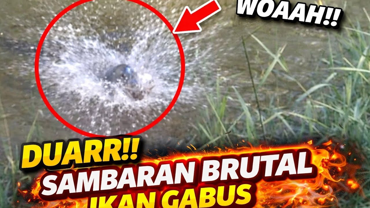 Senam jantung 