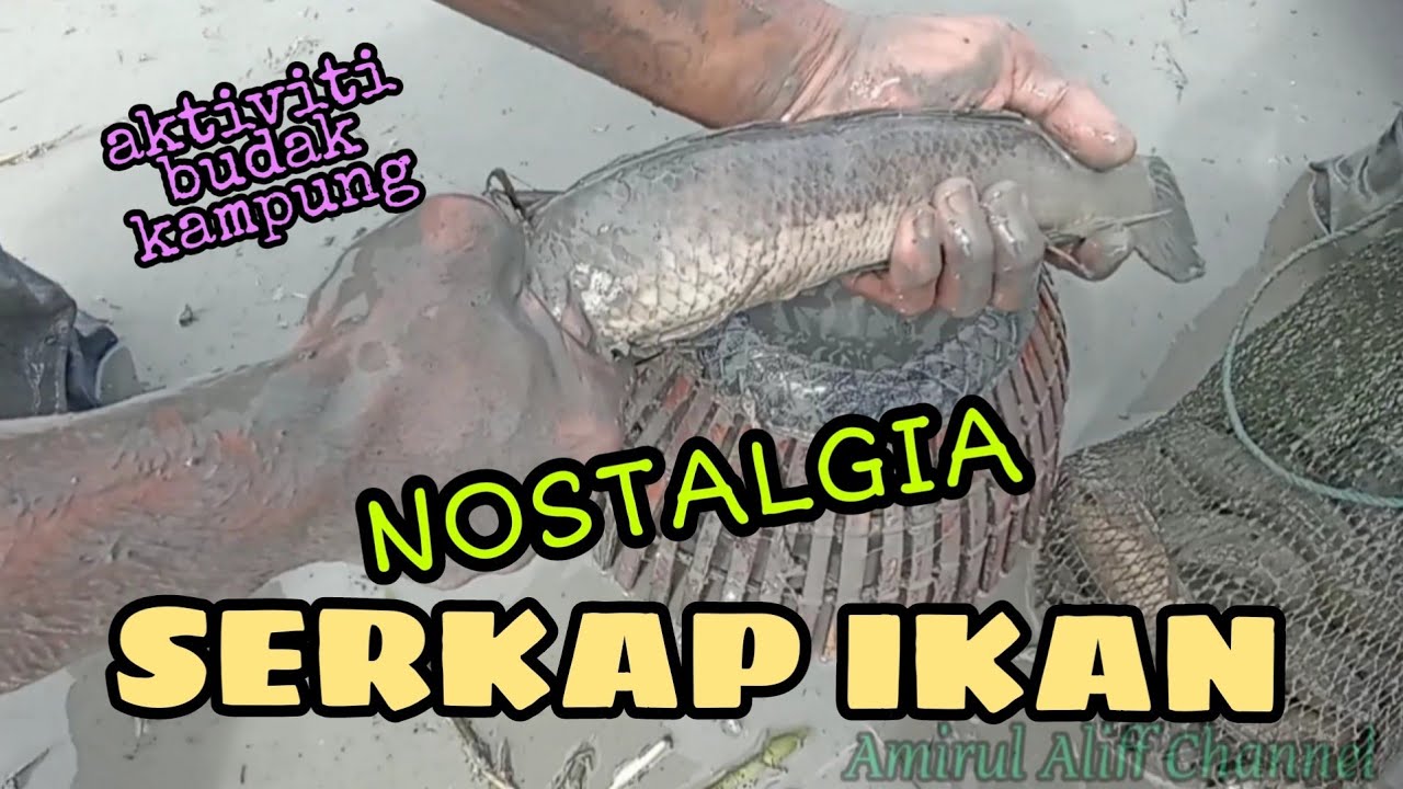 #EP328 Menyerkap Ikan Belakang Trekta - nostalgia dulu-dulu