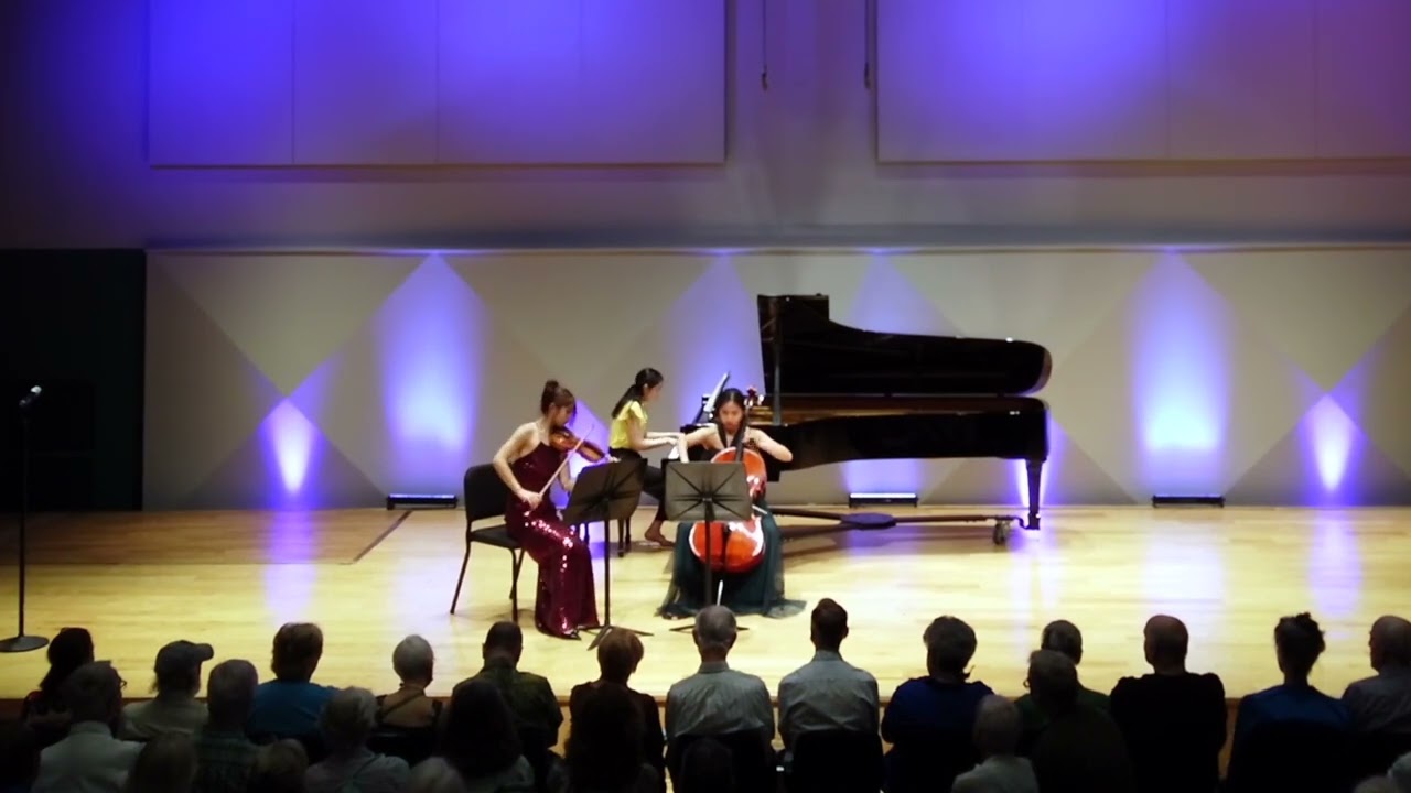 Anna Linder, Violin