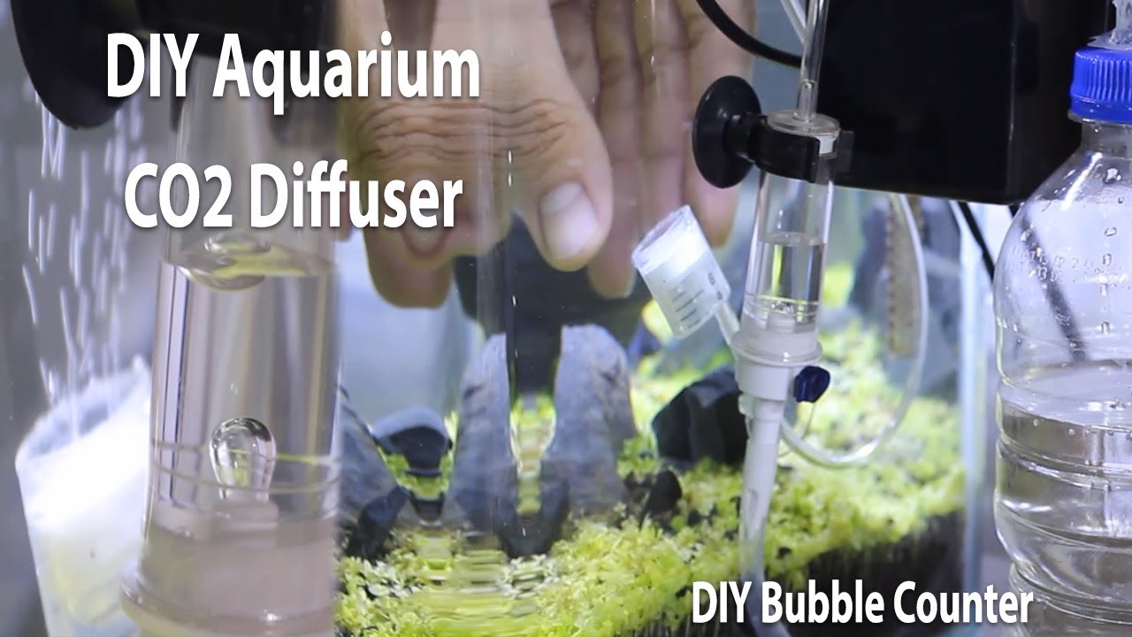 DIY Aquarium CO2 Diffuser & Bubble Counter (Effective & Easy)