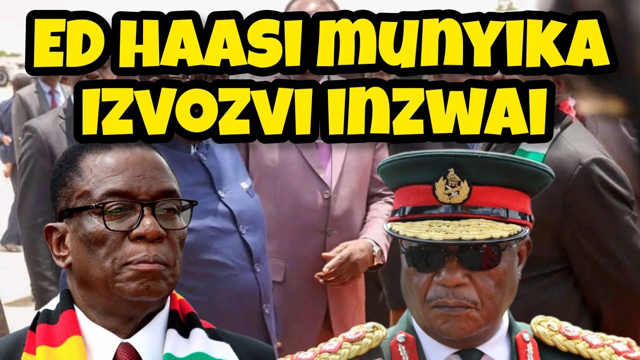ED haasi munyika izvozvi  | ED must resign