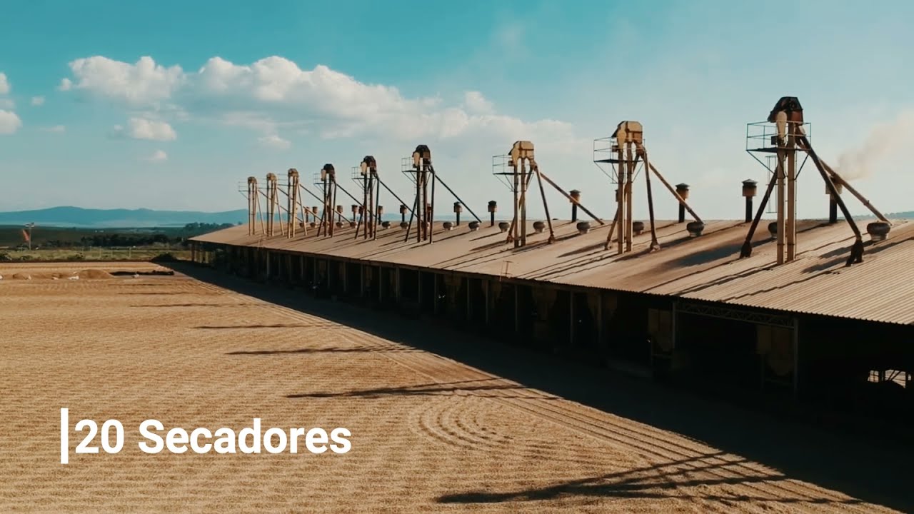 Fazenda Serra Grande - Projeto para Processamento de Cafés via Seca PaliniAlves Boa Esperança MG