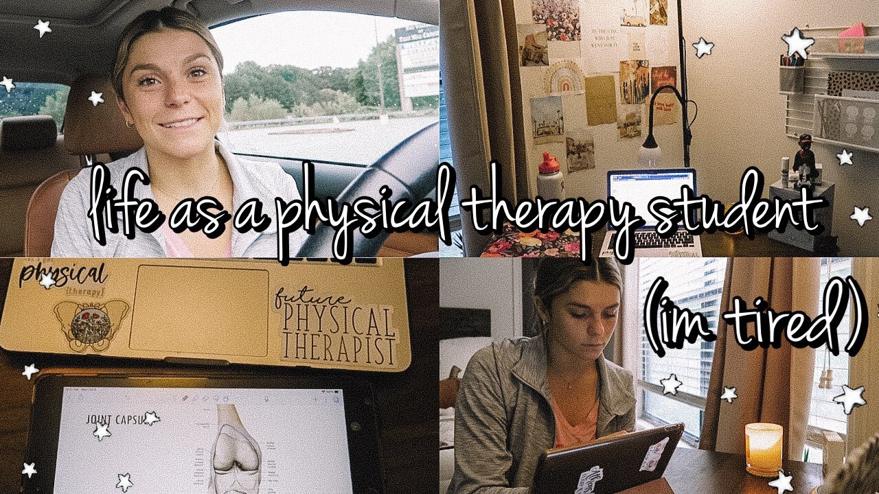 day in the life of a physical therapy student | mental health & burnout chat