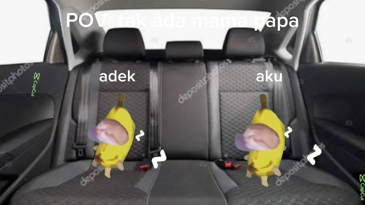 Tak ada mama papa | Meme kucing