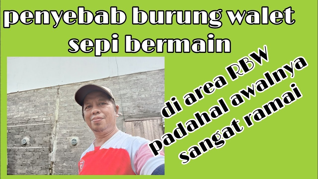 penyebab burung walet sepi bermain di area RBW padahal awalnya sangat ramai