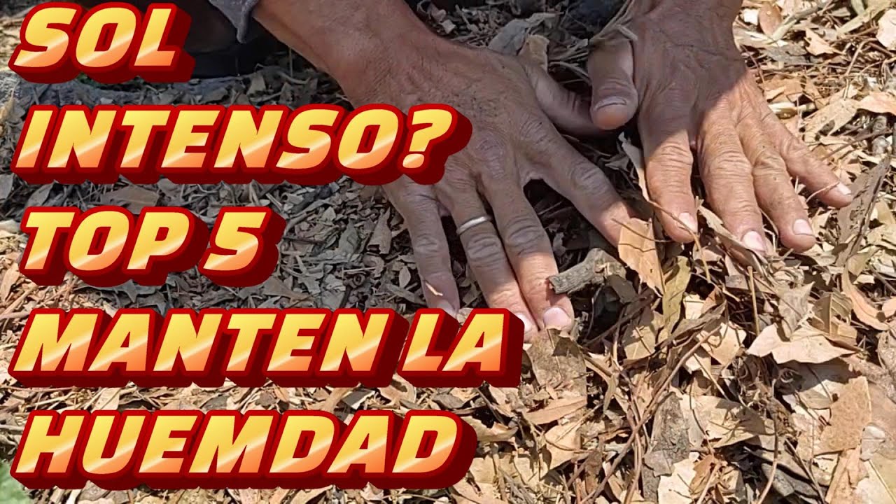 SE RESECA TU HUERTA? medidas efectivas contra el  AUMENTO DE CALOR