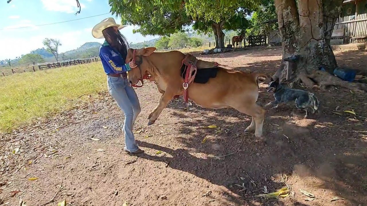 MINHA MINI VACA SURTOU!😱 Na doma.🐮
