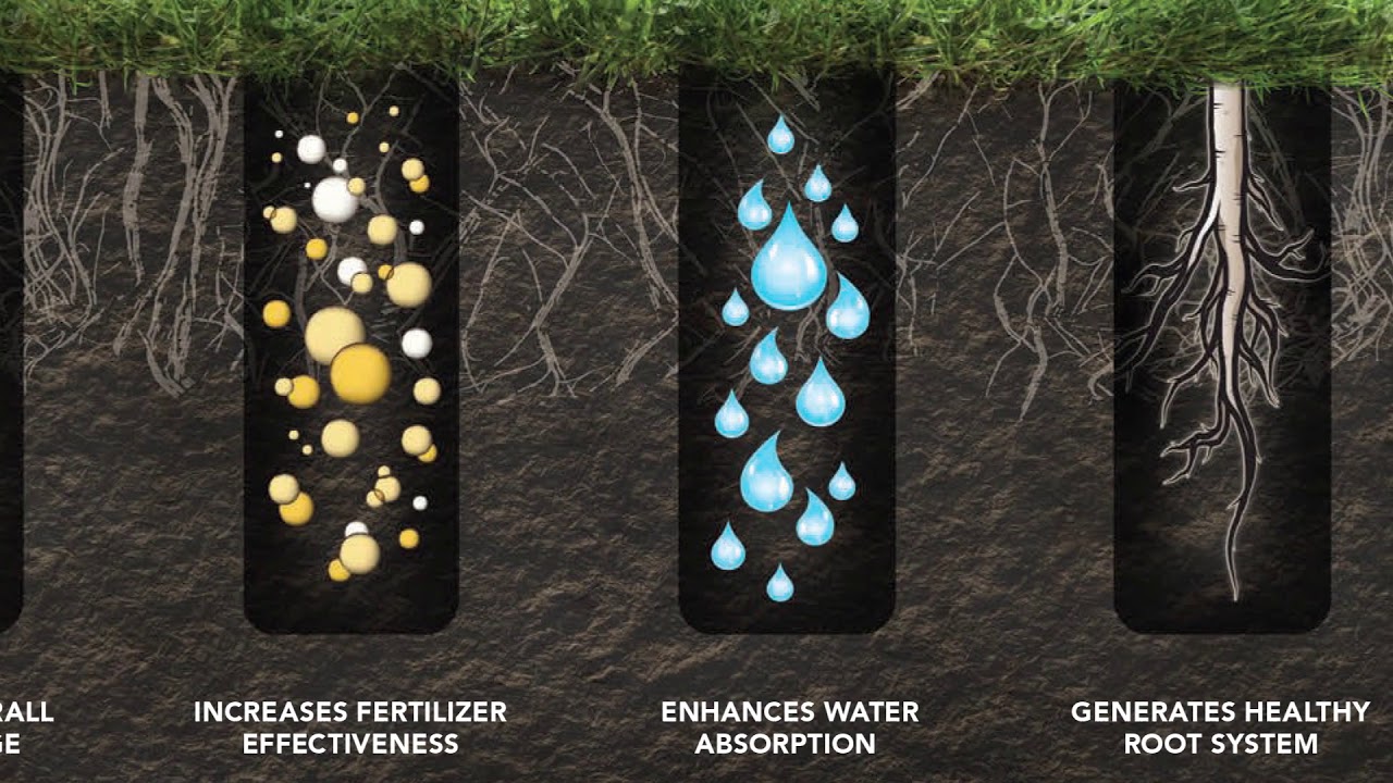 The Differences Between Aeration Tines