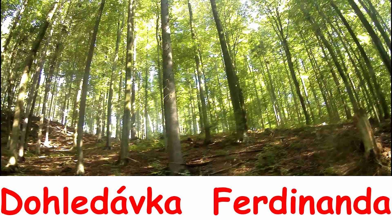Dohledávka stříbrného Ferdinanda  /detektoring, detectoring, detecting/