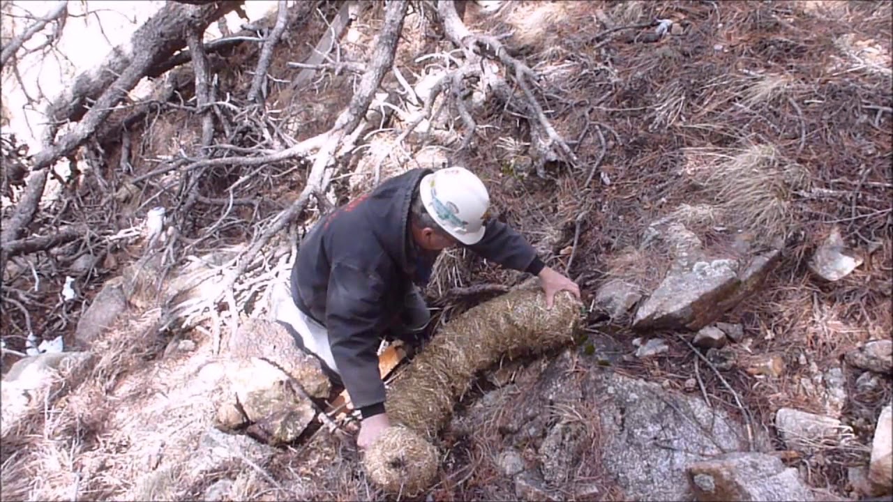 Passive Gold Placer Mining