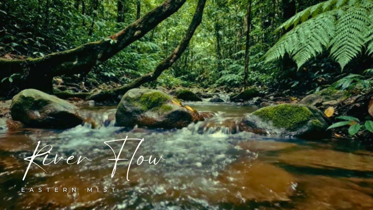 ASMR Nature Ambience | Deep Forest River Sounds (2 Hours)