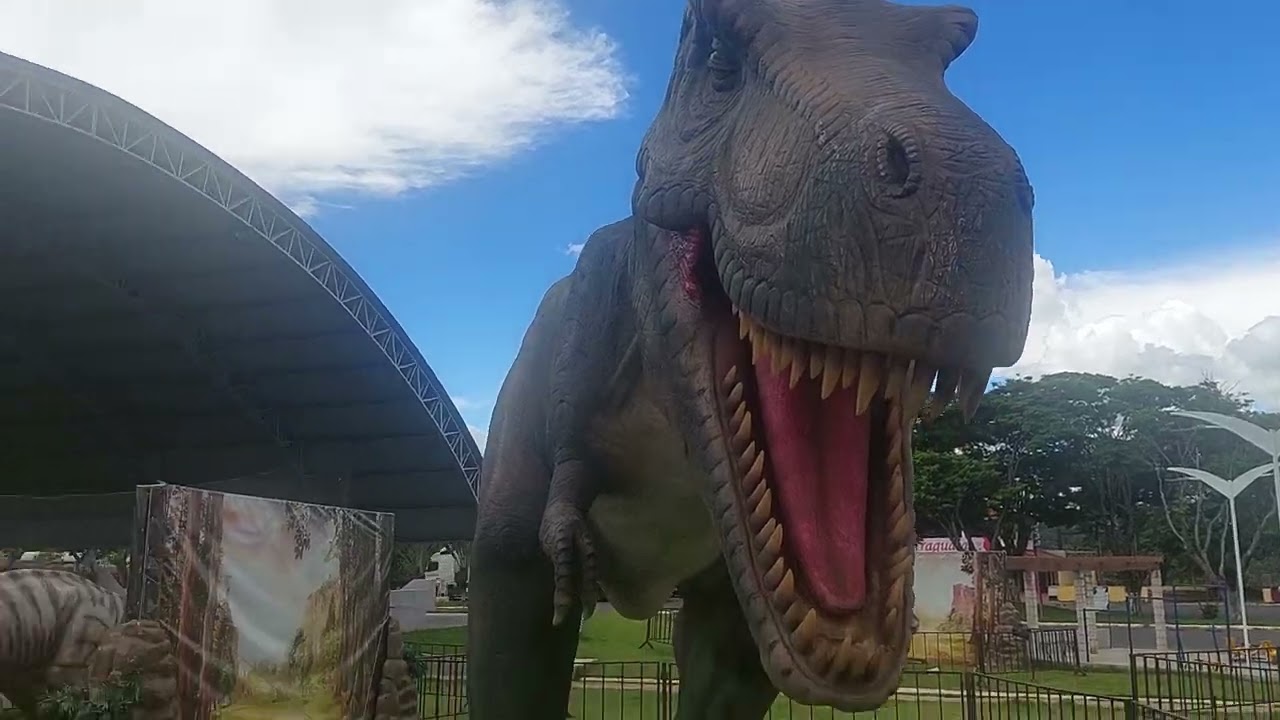 Dinossauros em Alto Araguaia MT acreditem. 