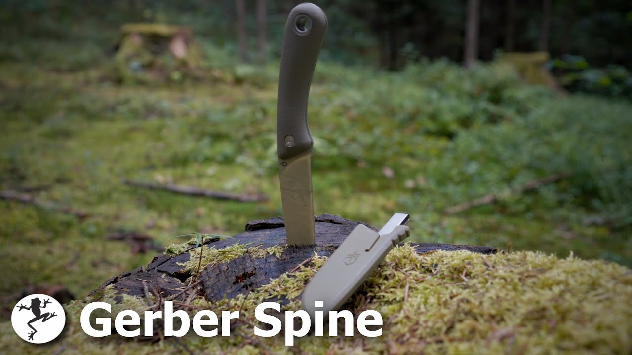 Gerber Spine