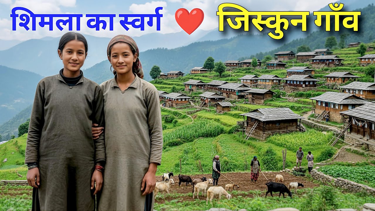 JISKUN - The Most Beautiful Village Of Himachal Pradesh, Shimla | Pahadi lifestyle Vlog | Dodra kwar