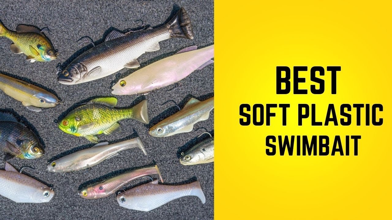 Best Soft Plastic Swimbait in 2023 - [Top 6 Review]