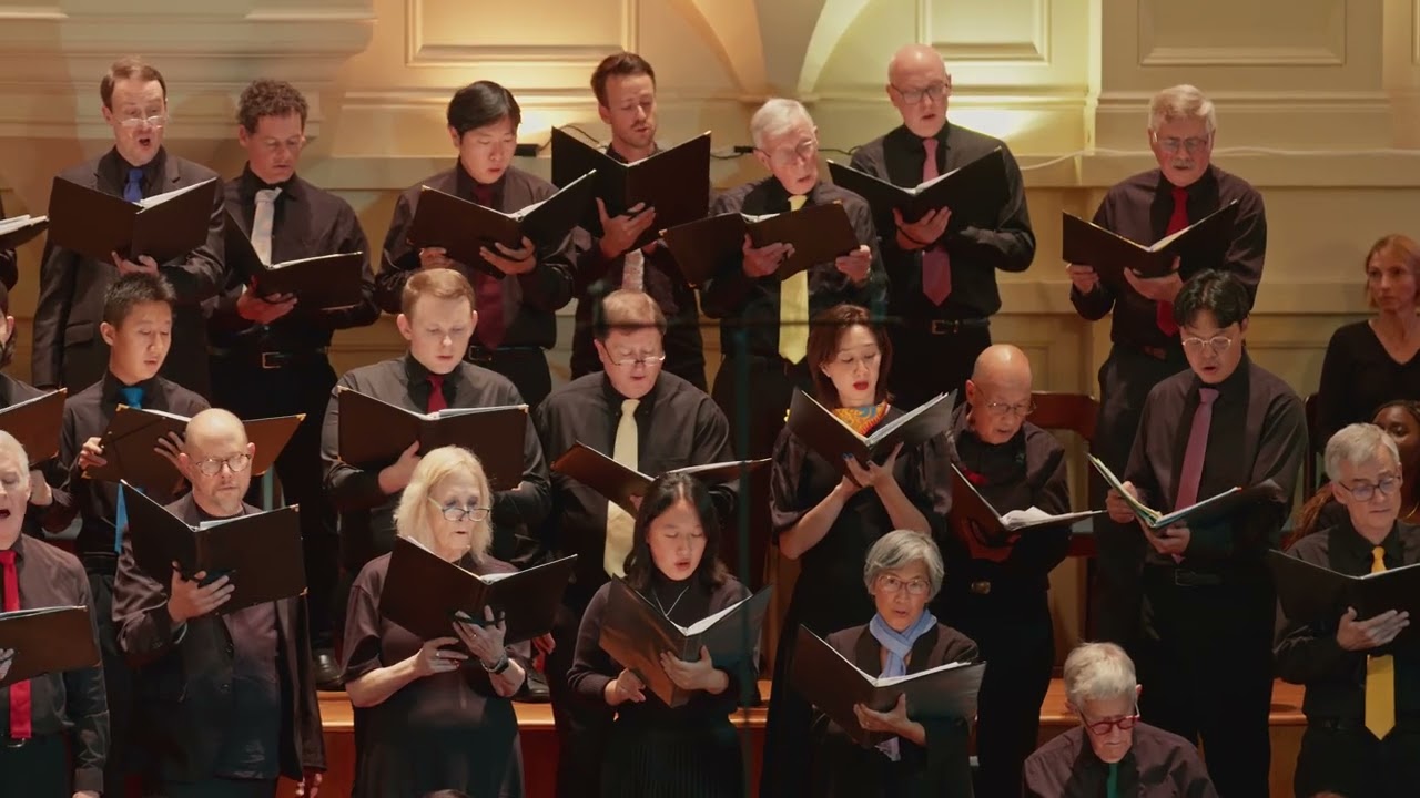 Saint Patrick's Day: Irish Lullaby - Swan
