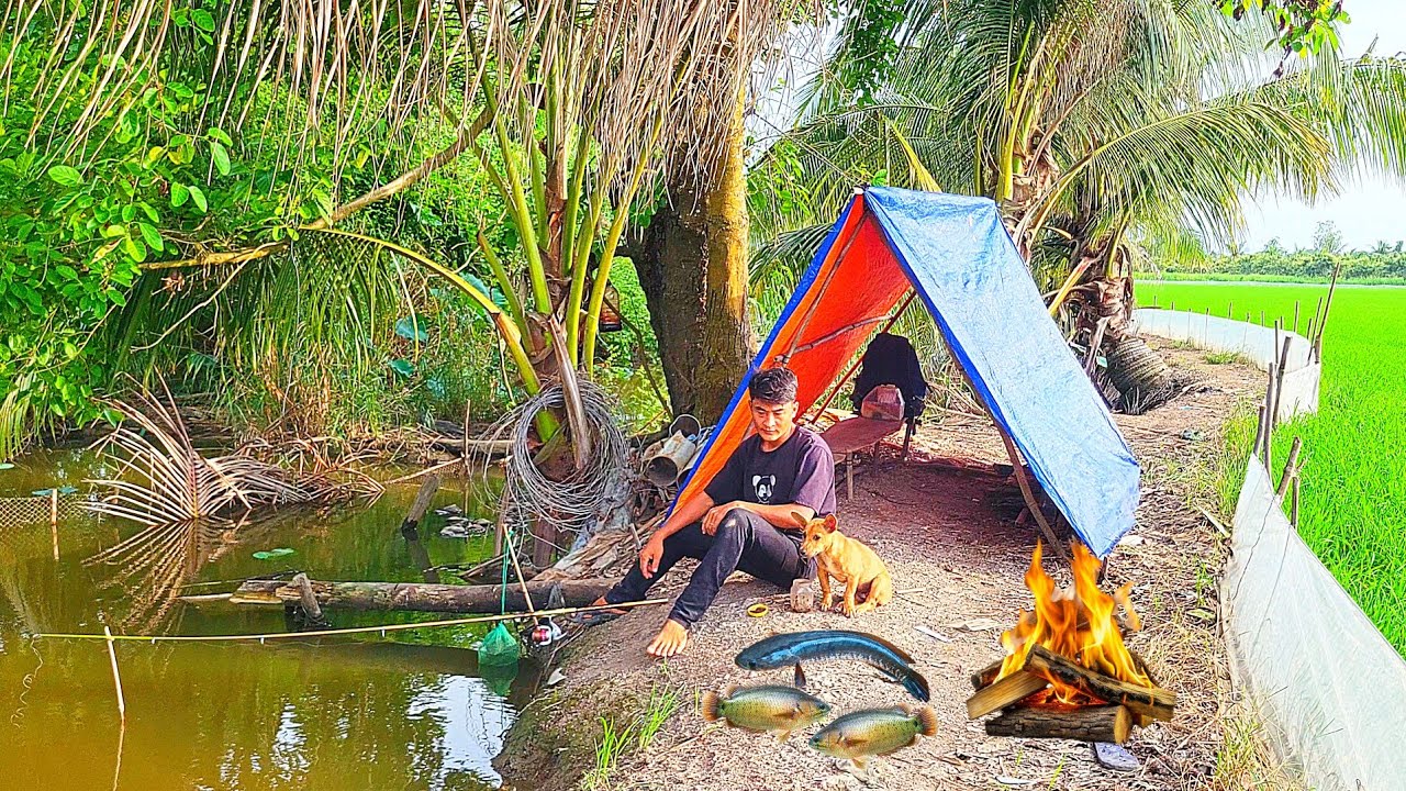 Camping by the stream, fishing, cooking with the dog | Cookingso