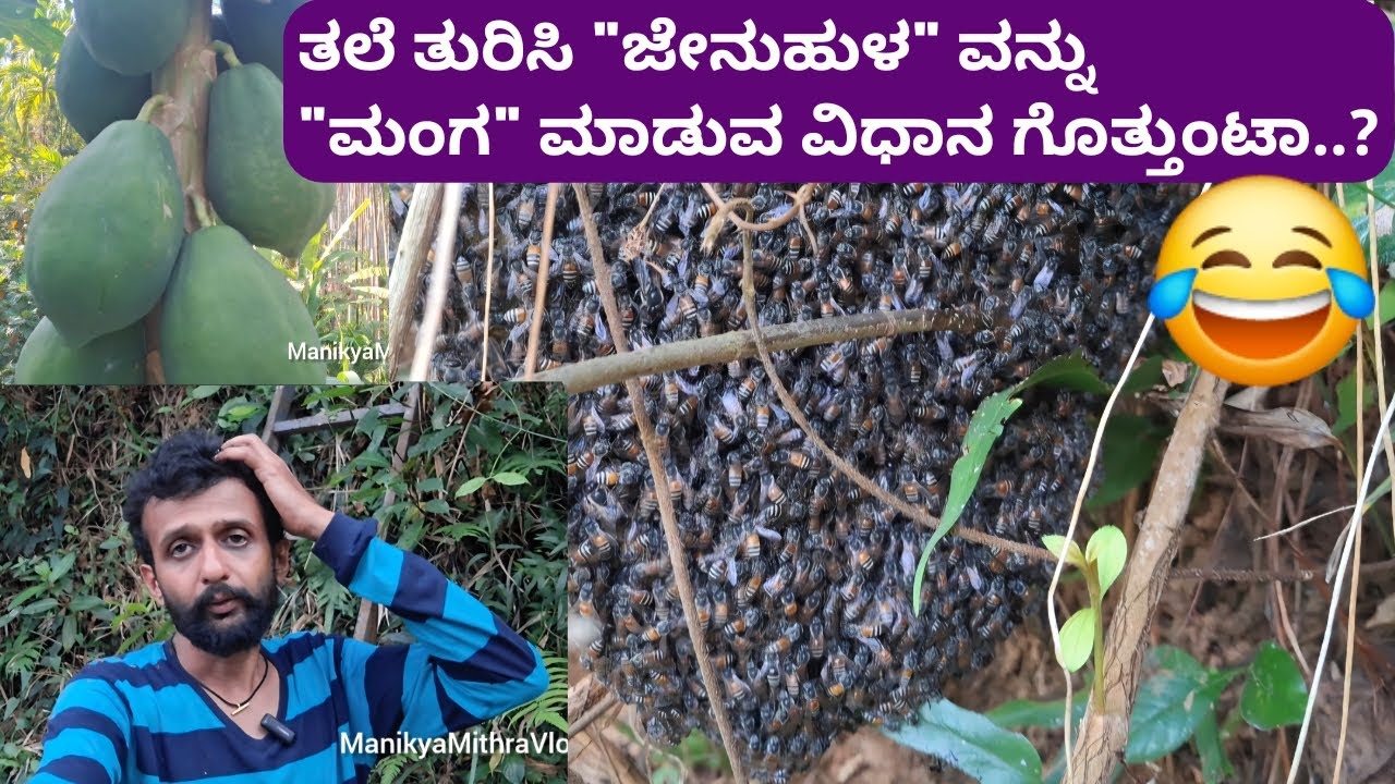 ತಲೆ ತುರಿಸಿ 