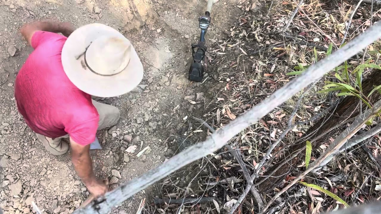 GPX 6000 Clermont gully magic part 3 honey hole✨🇦🇺🤠🇦🇺✨🇦🇺🤠🇦🇺✨🇦🇺🤠🇦🇺✨🇦🇺🤠🇦🇺✨
