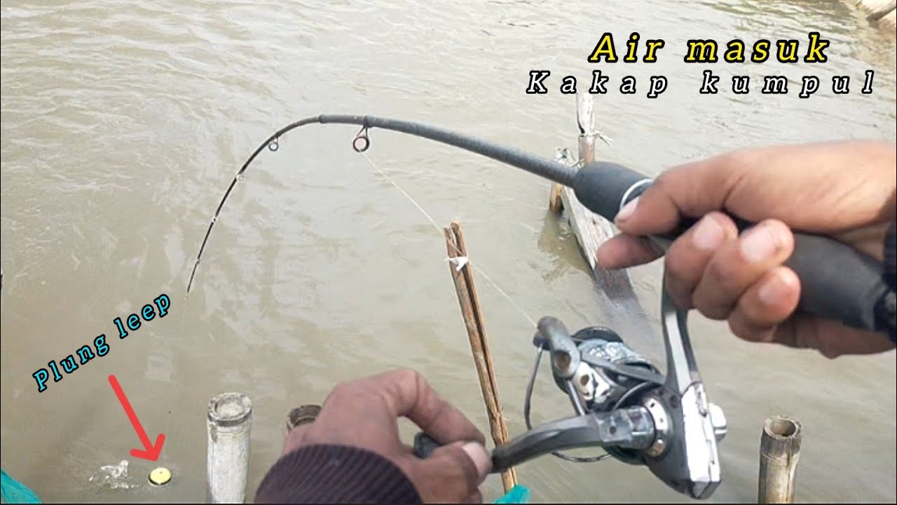 Gacor parah !! Air masuk kakap kumpul di pintu tambak//mancing kakap