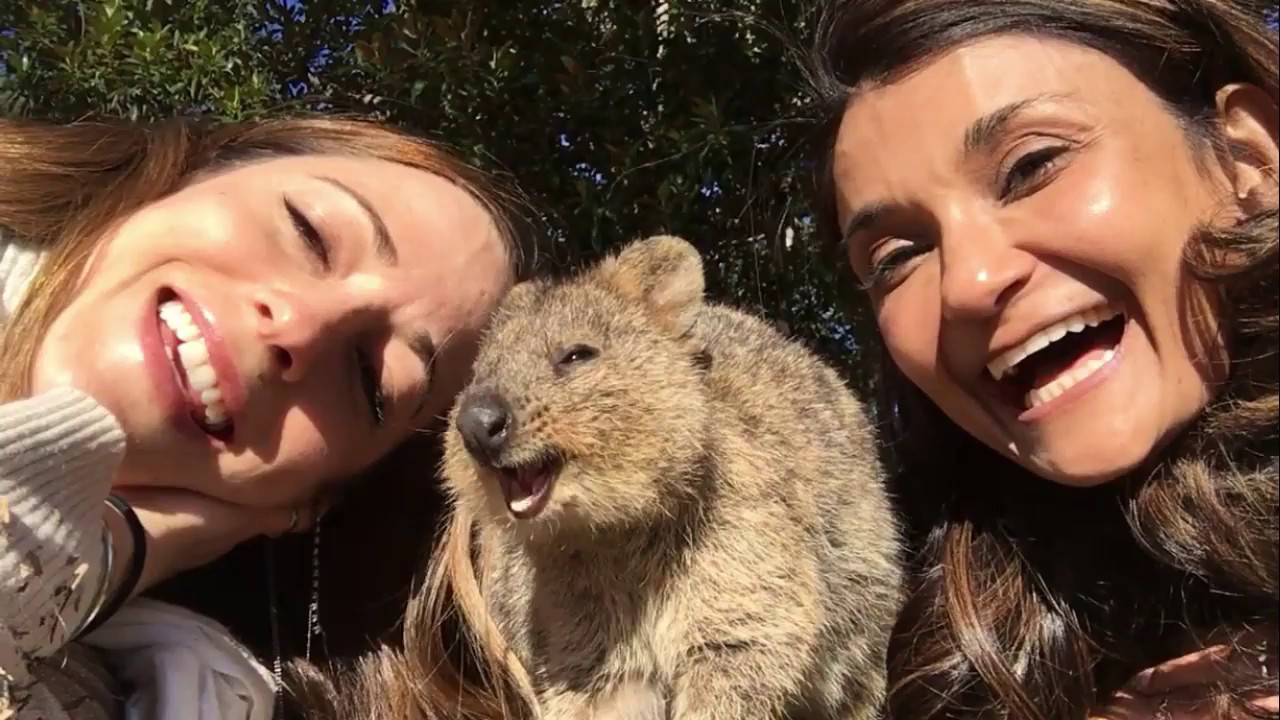 G'day, Australia! (Anjali and Carolina at Supanova 2017)
