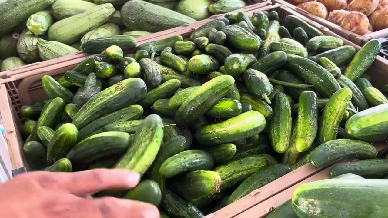 Domenica Vlog: July 14, 2024